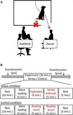 Emotional Contagion From Humans to Dogs Is Facilitated by Duration of Ownership